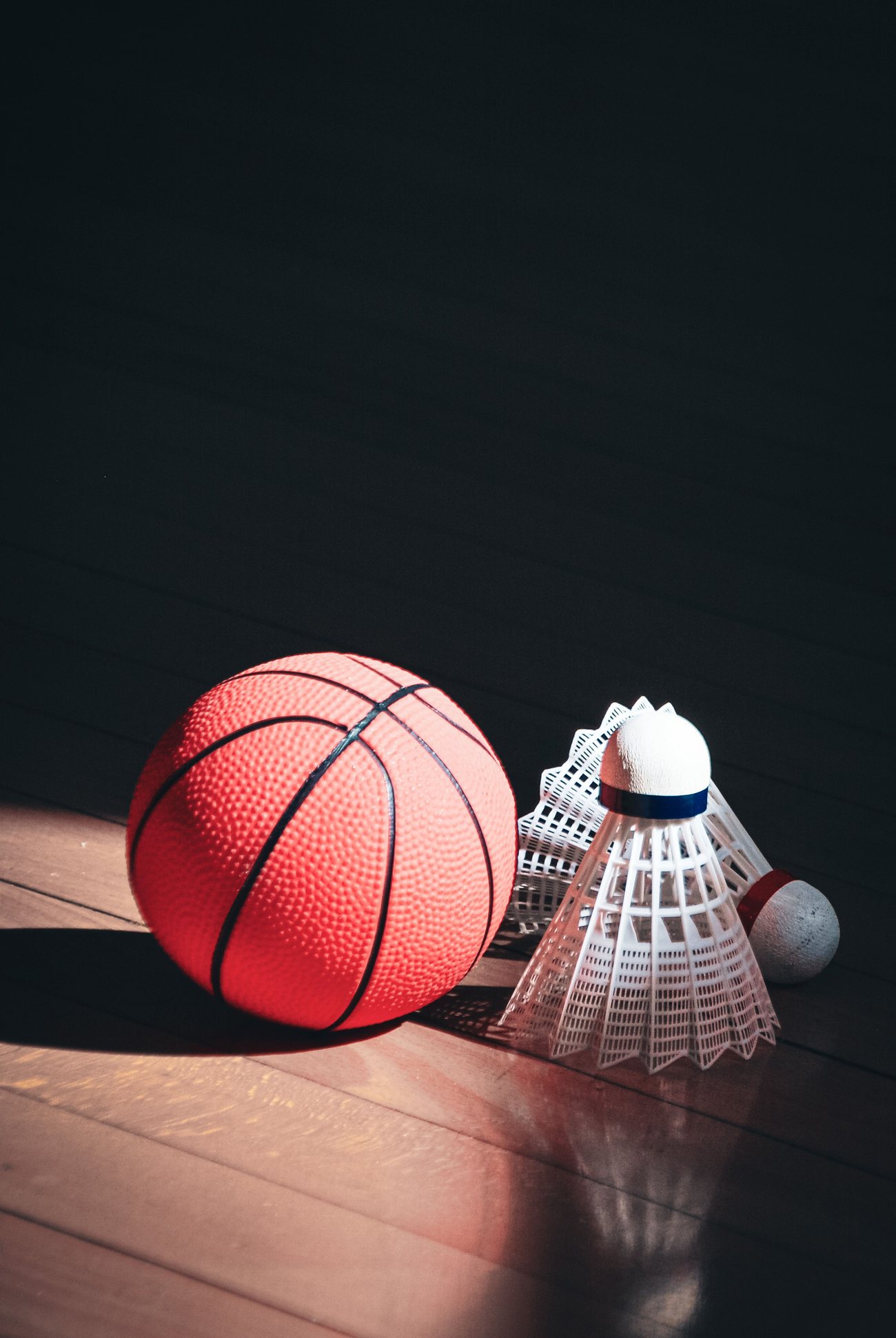 Sprzęt sportowy
